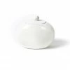 Coton Colors White Small Dot Mini Cookie Jar Happy Everything Mini Bases